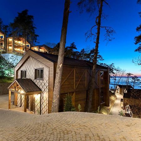 Hancioglu Orman Evleri & Hotel Трабзон Экстерьер фото