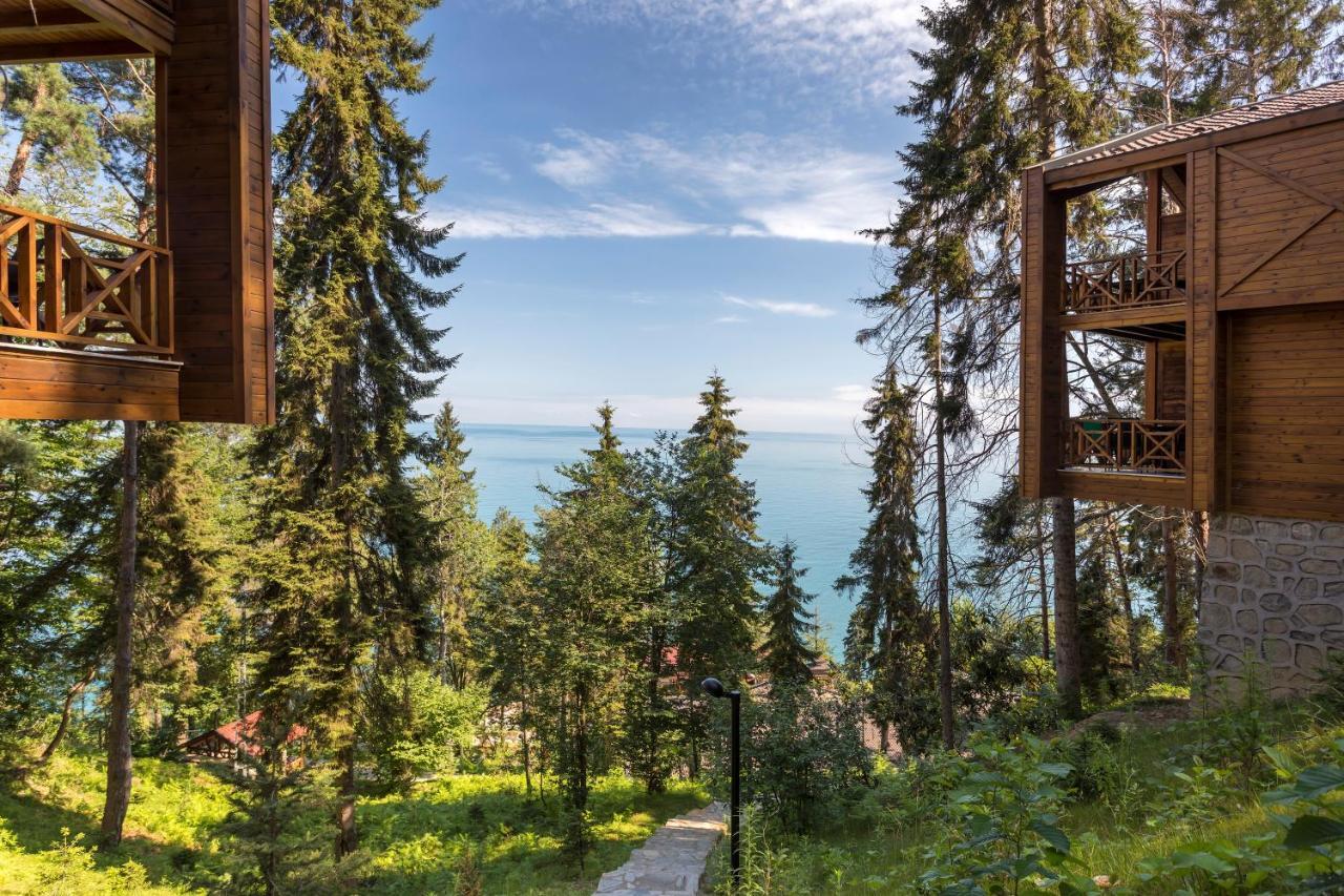 Hancioglu Orman Evleri & Hotel Трабзон Экстерьер фото